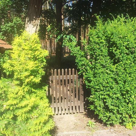Biggis Waldpension Michendorf Dış mekan fotoğraf