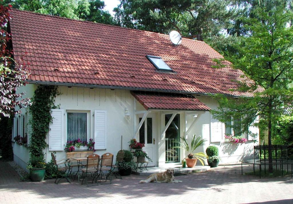 Biggis Waldpension Michendorf Dış mekan fotoğraf